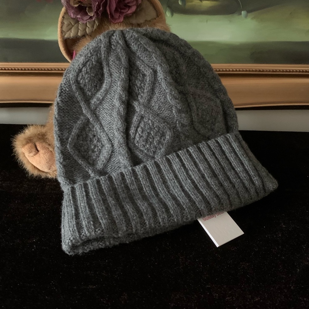 NWT Aritzia Women Sunday Best Rink cuffed cable knit Beanie Hat gray one size